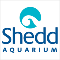 Shedd Aquarium.png